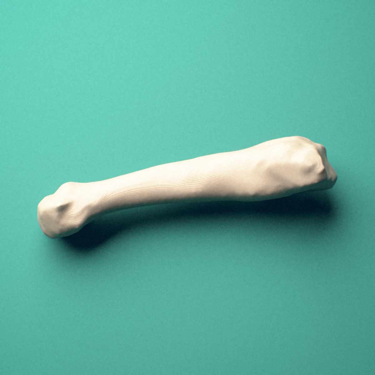 3D-printed Right fourth metatarsal (foot), close-up view showing the head.