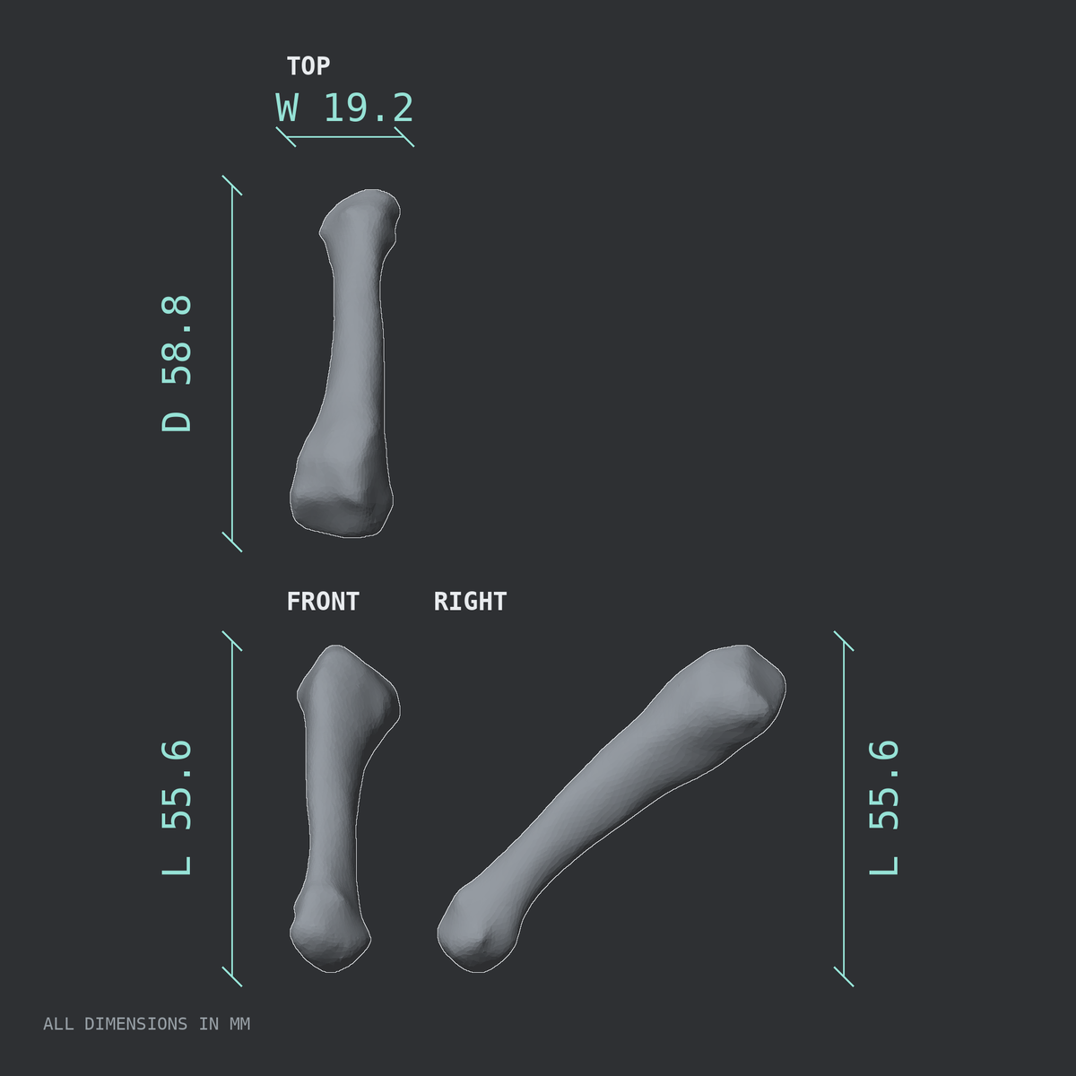 3D rendered dimensional drawing of the Right fourth metatarsal (foot), top, front, and side views.