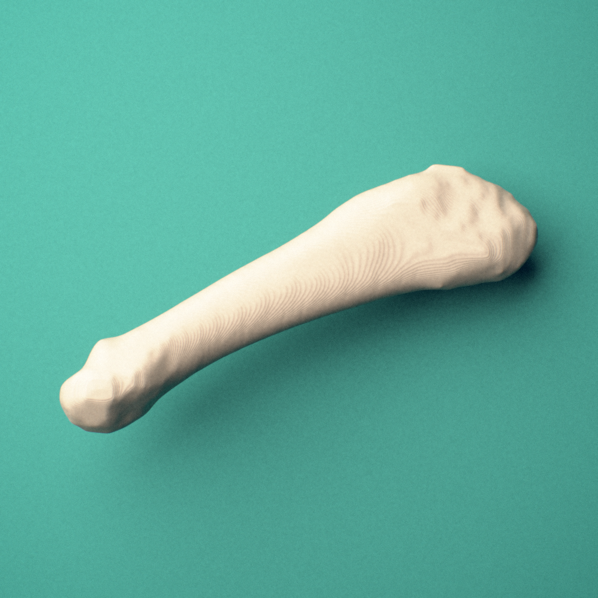 3D-printed Left fifth metatarsal (foot), oblique view showing the base and head.