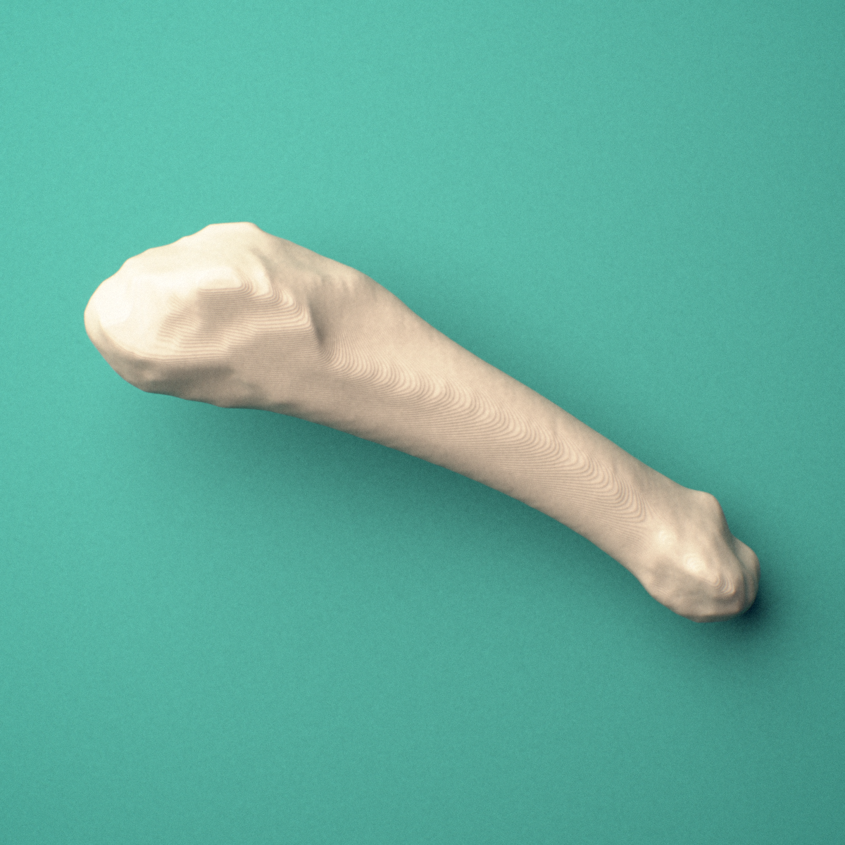 3D-printed Left fifth metatarsal (foot), close-up view showing the base.