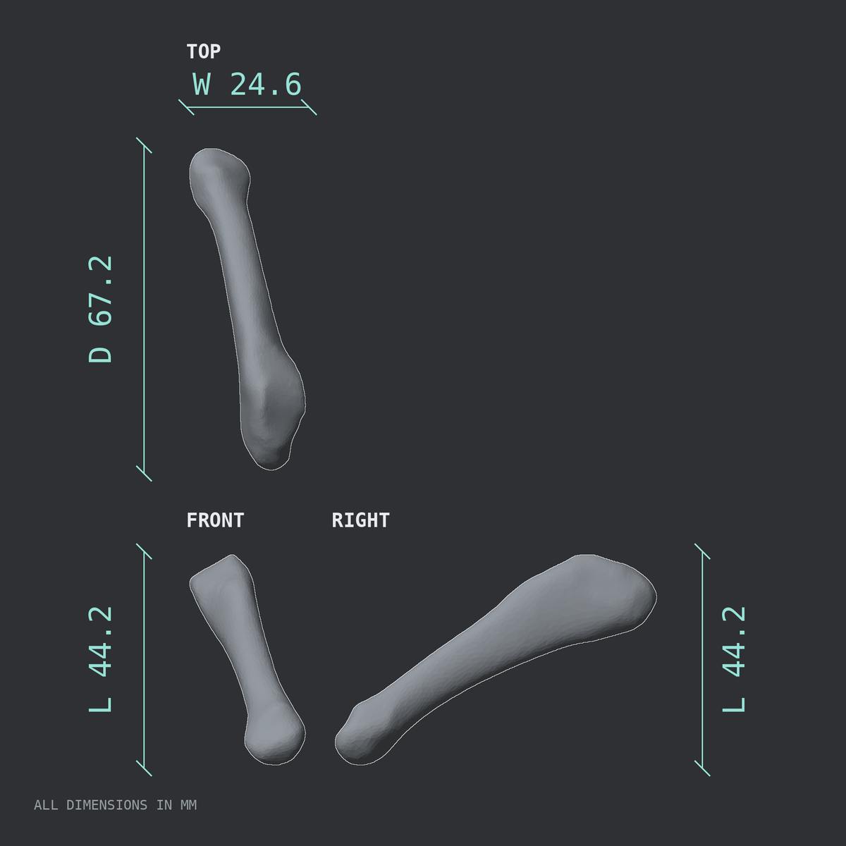 3D rendered dimensional drawing of the Left fifth metatarsal (foot), top, front, and side views.