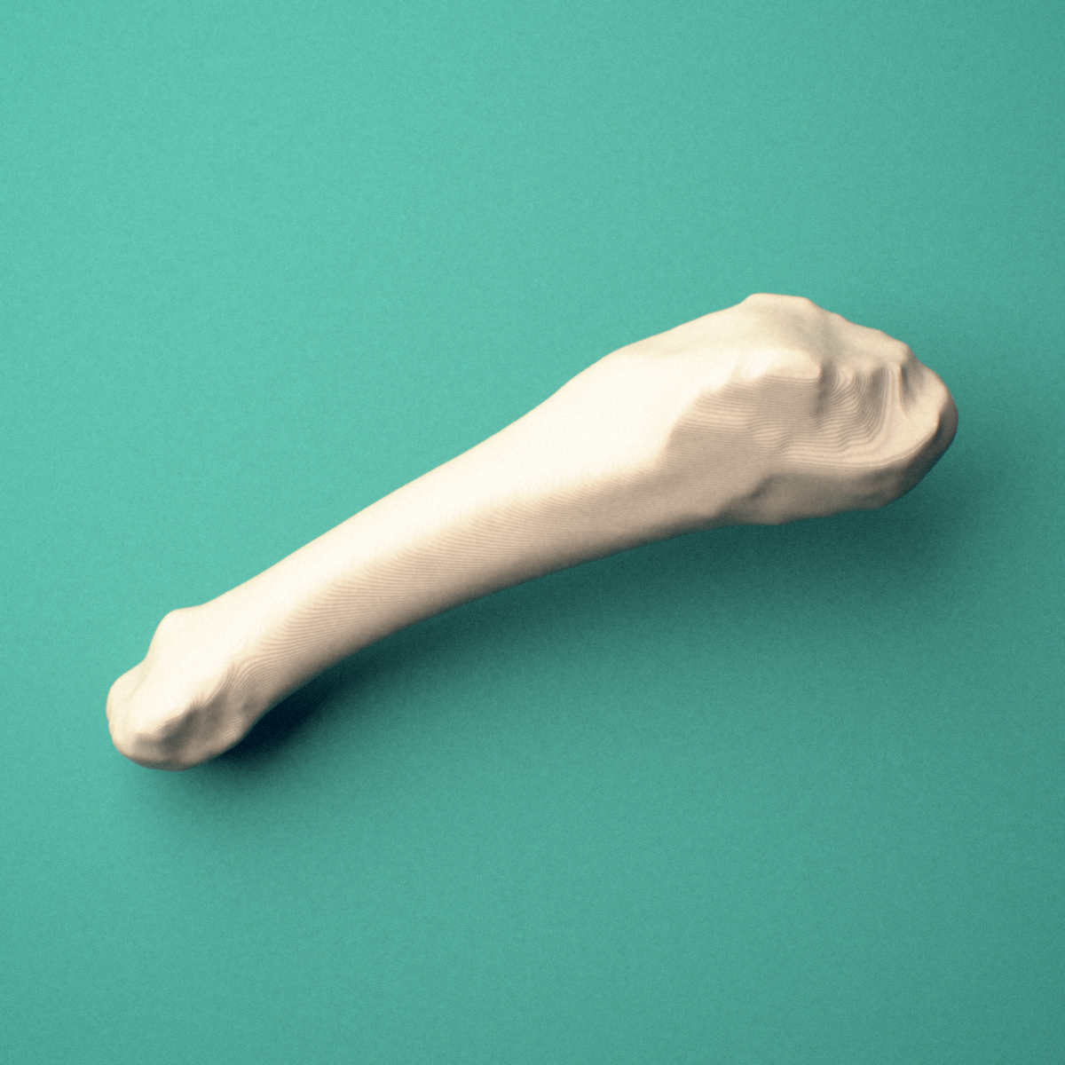 3D-printed Right fifth metatarsal (foot), oblique view showing the base and head.