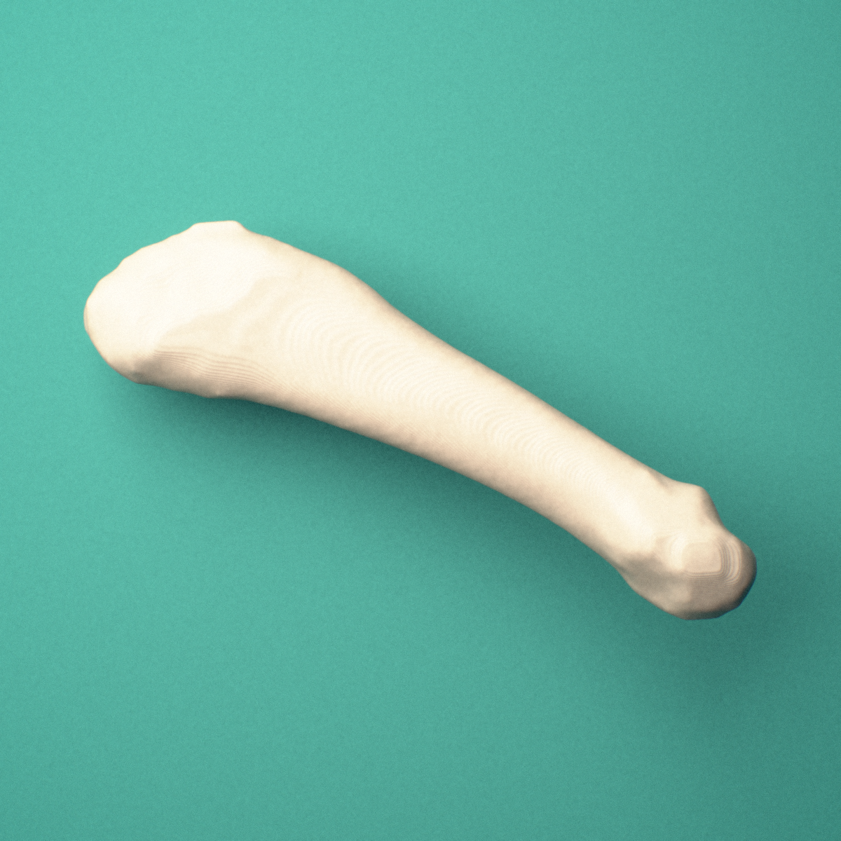 3D-printed Right fifth metatarsal (foot), close-up view showing the base.