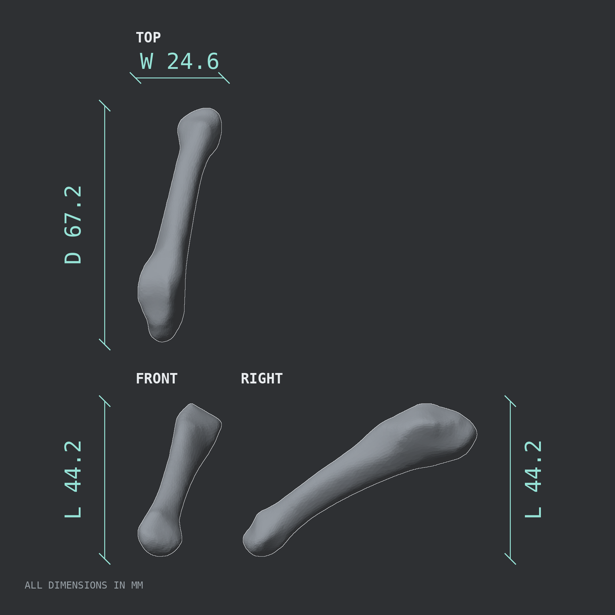 3D rendered dimensional drawing of the Right fifth metatarsal (foot), top, front, and side views.