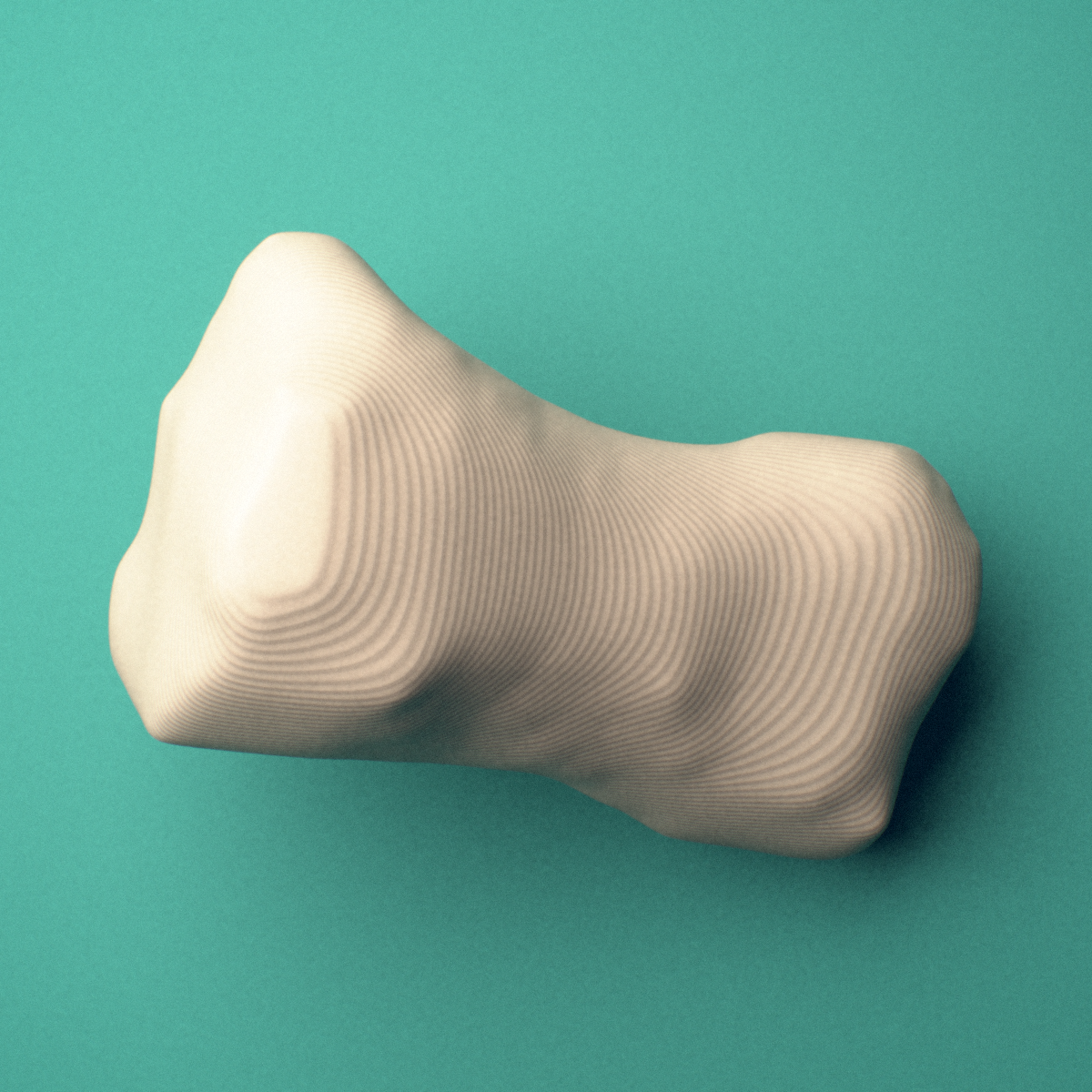 3D-printed Right second toe middle phalanx, oblique view showing the base and head (trochlea).