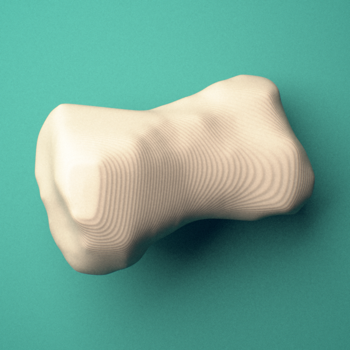 3D-printed Left third toe middle phalanx, oblique view showing the base and head (trochlea).