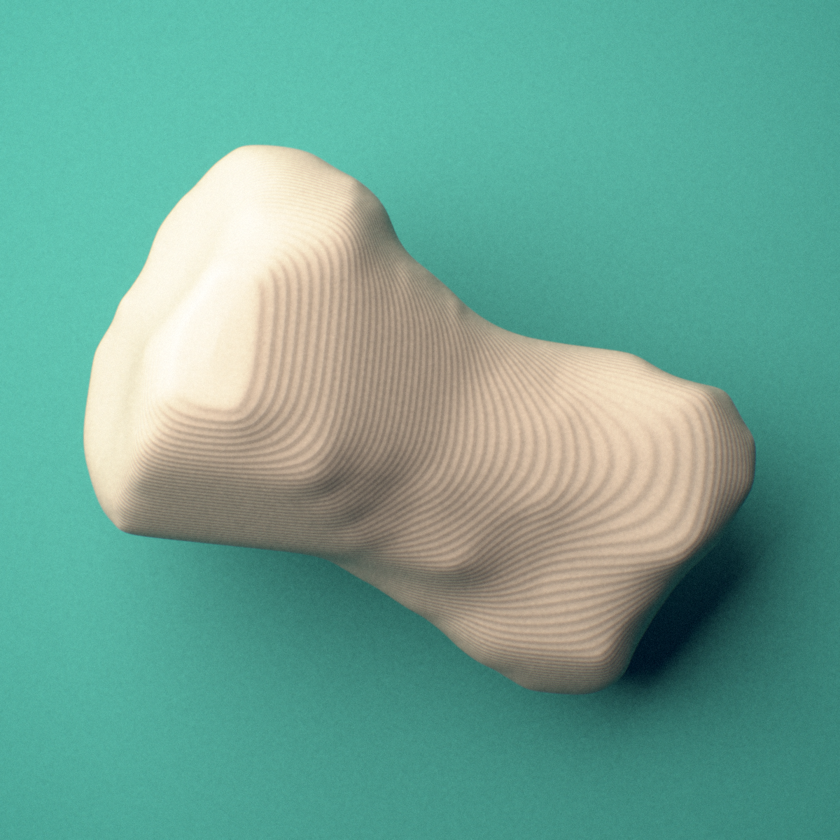 3D-printed Right third toe middle phalanx, oblique view showing the base and head (trochlea).