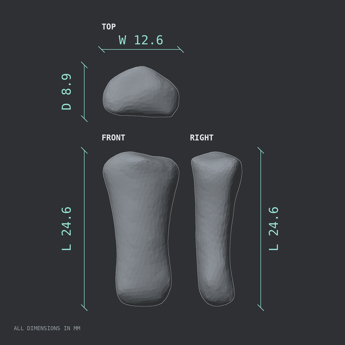 3D rendered dimensional drawing of the Left index finger middle phalanx, top, front, and side views.
