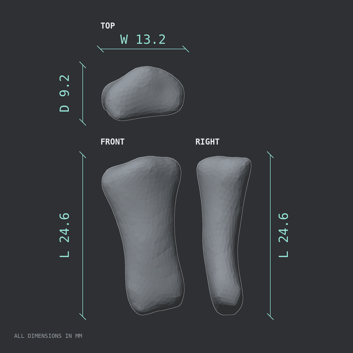 3D rendered dimensional drawing of the Right index finger middle phalanx, top, front, and side views.