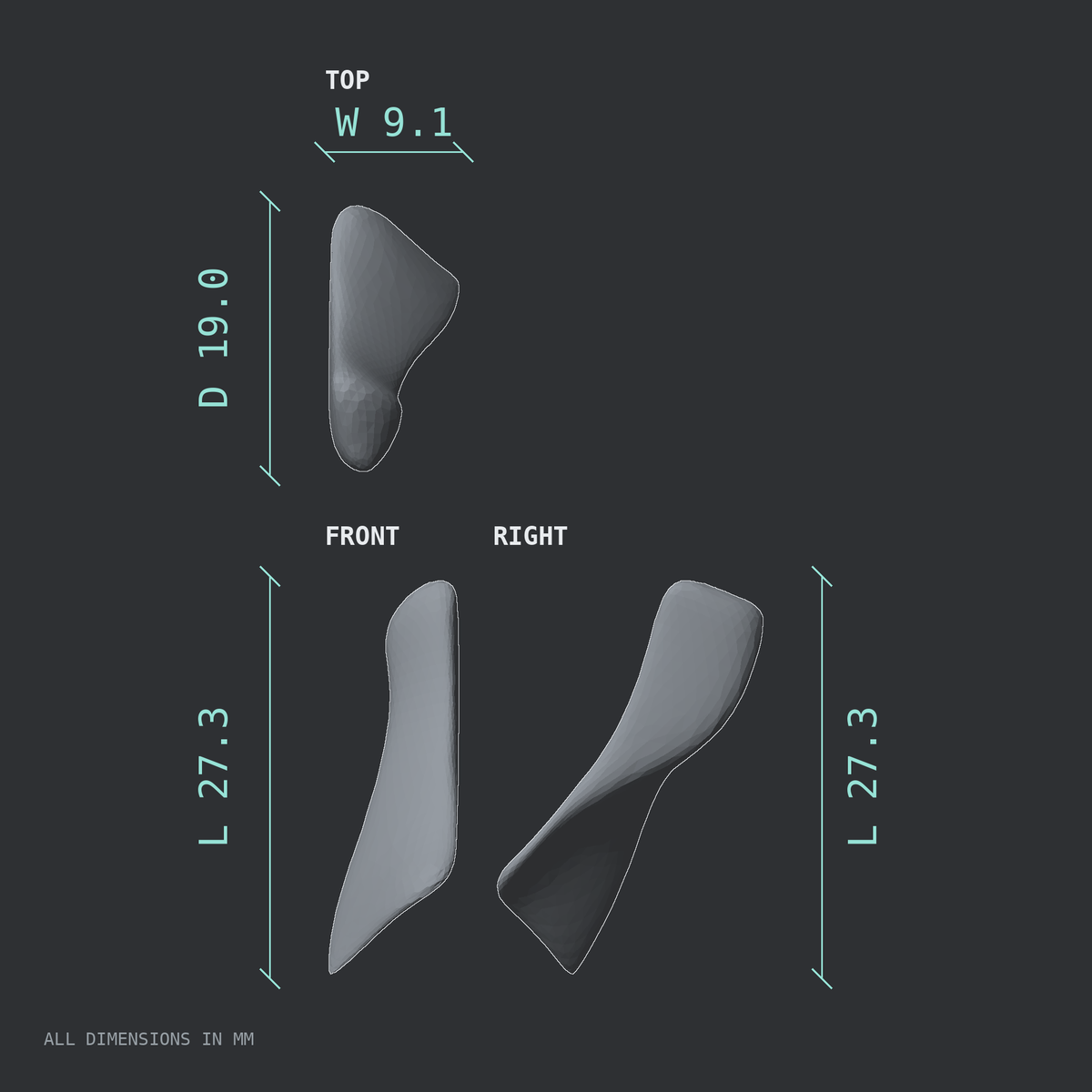 3D rendered dimensional drawing of the Right nasal bone, top, front, and side views.
