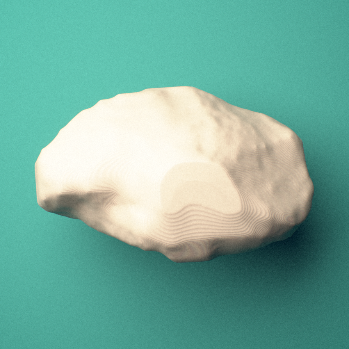 3D-printed Left navicular bone (foot), oblique view showing the talar articular facet.