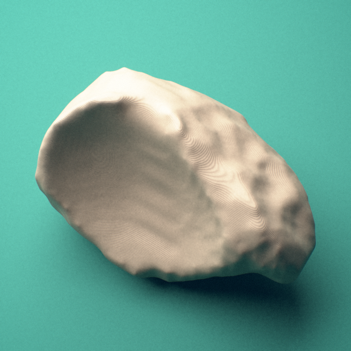 3D-printed Left navicular bone (foot), lateral view showing the cuneiform articular facets.