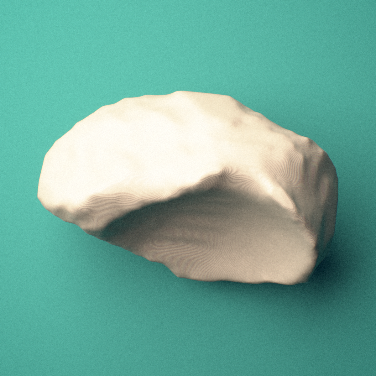3D-printed Right navicular bone (foot), oblique view showing the tuberosity.