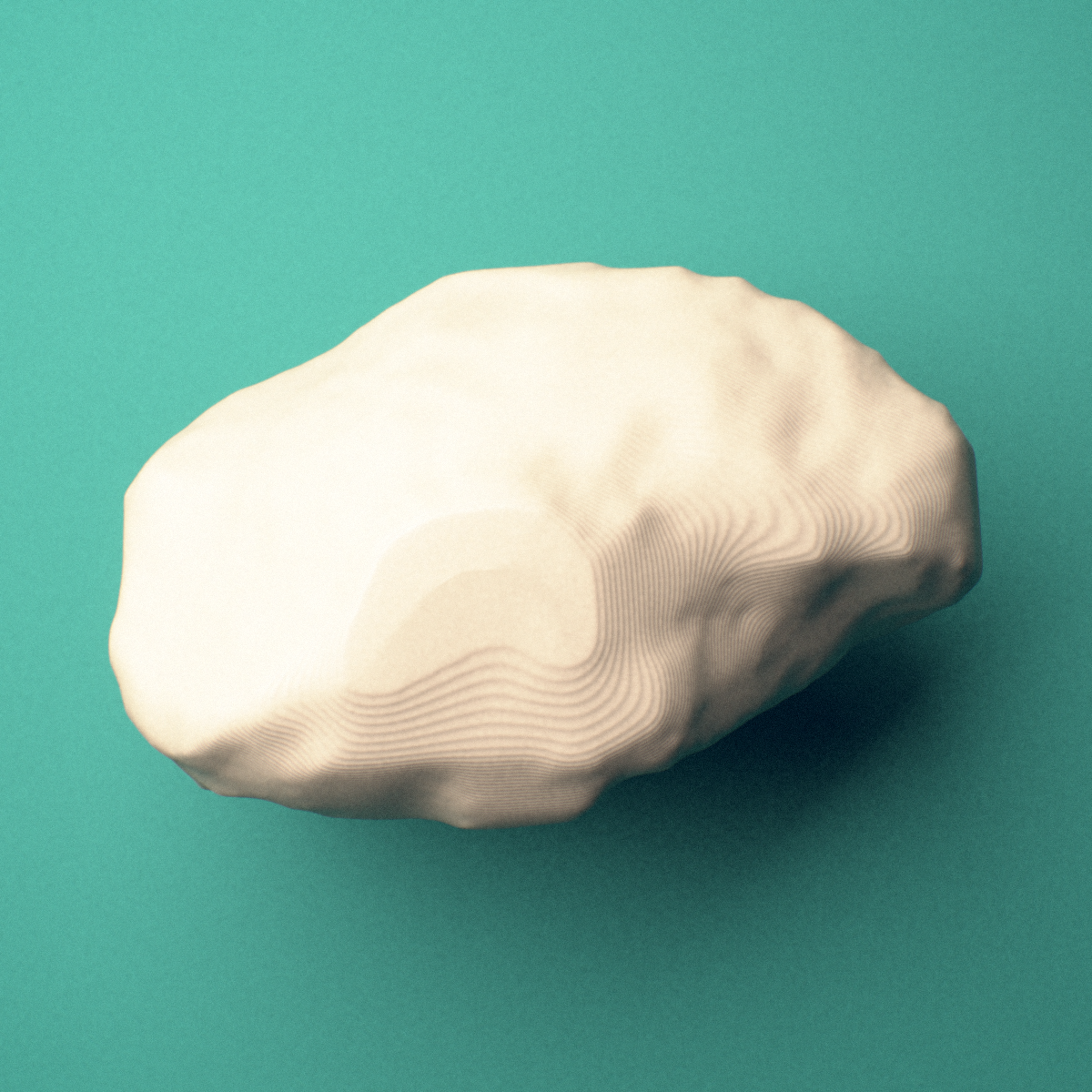 3D-printed Right navicular bone (foot), oblique view showing the talar articular facet.