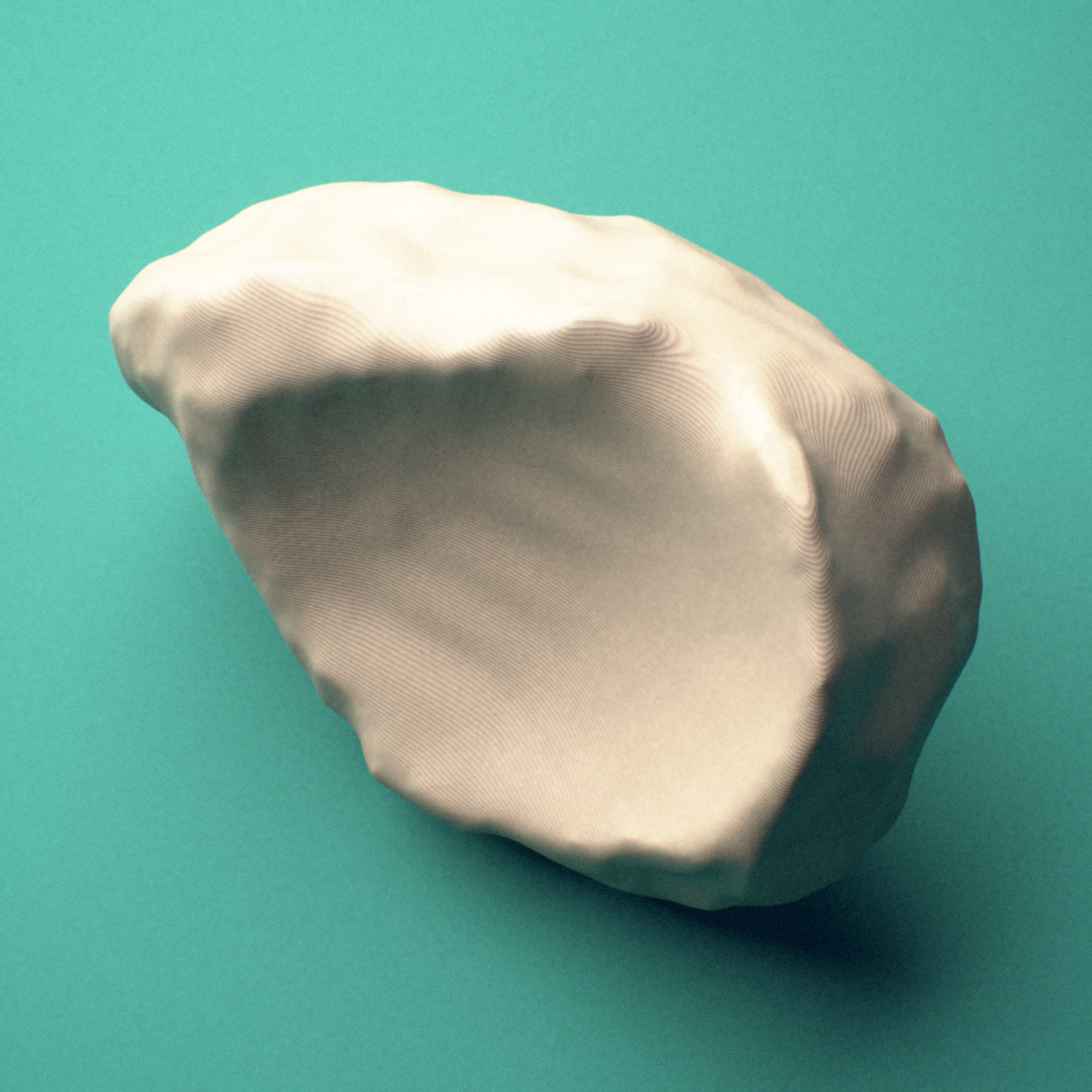 3D-printed Right navicular bone (foot), lateral view showing the cuneiform articular facets.