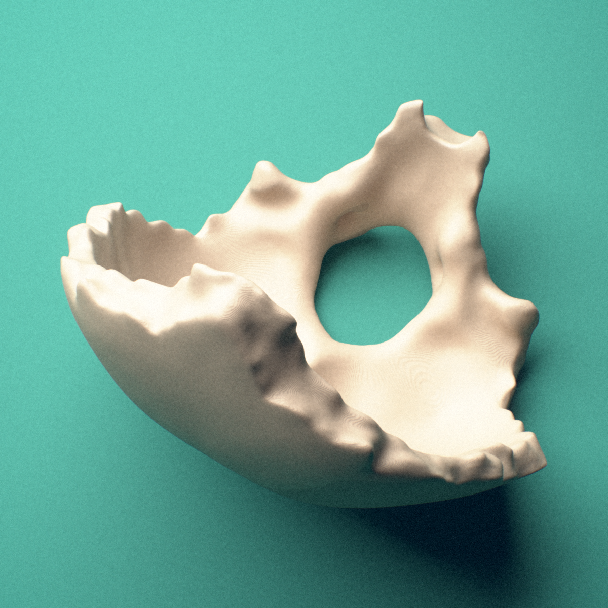 3D-printed Occipital bone, posterior view showing the external occipital protuberance.