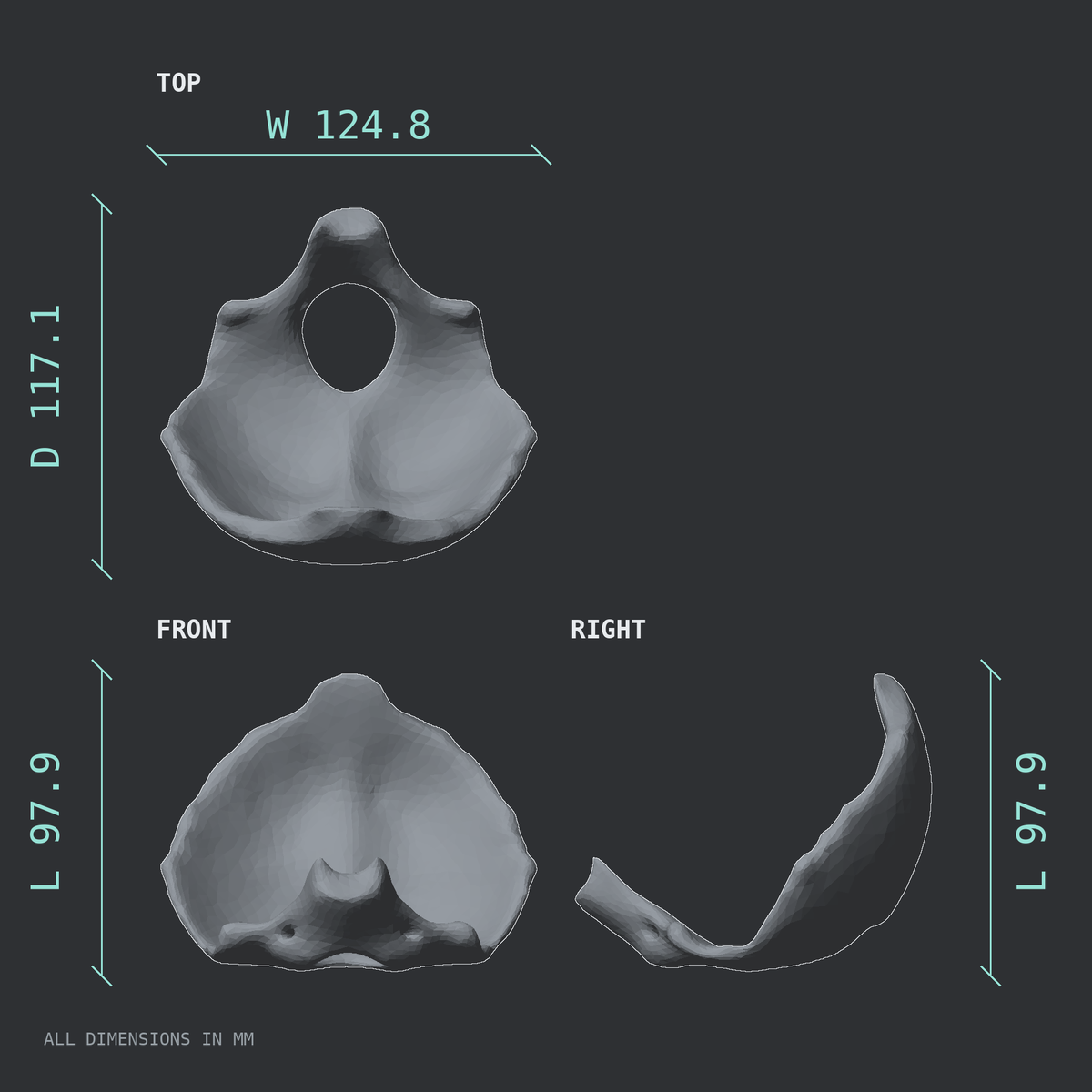 3D rendered dimensional drawing of the Occipital bone, top, front, and side views.