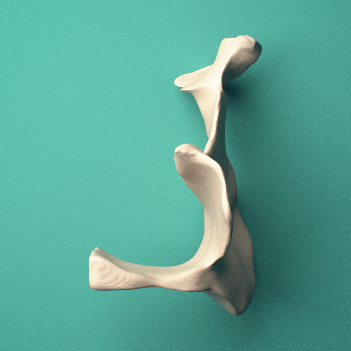 3D-printed Left palatine bone, posterior oblique view showing the perpendicular plate.