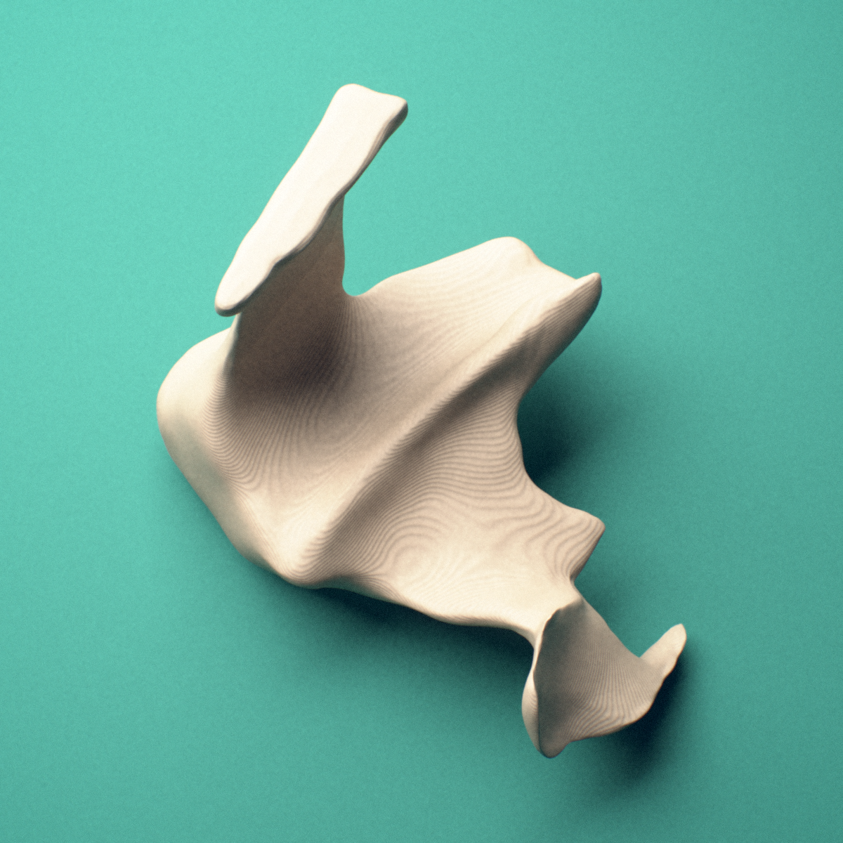 3D-printed Right palatine bone, lateral view showing the pyramidal process.