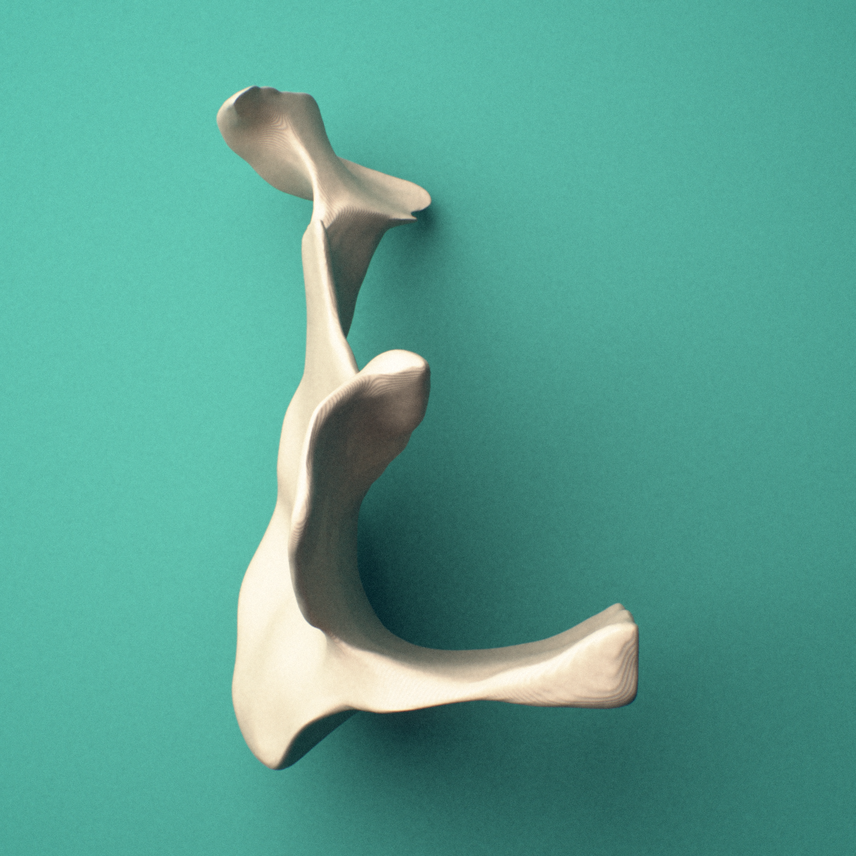 3D-printed Right palatine bone, posterior oblique view showing the perpendicular plate.