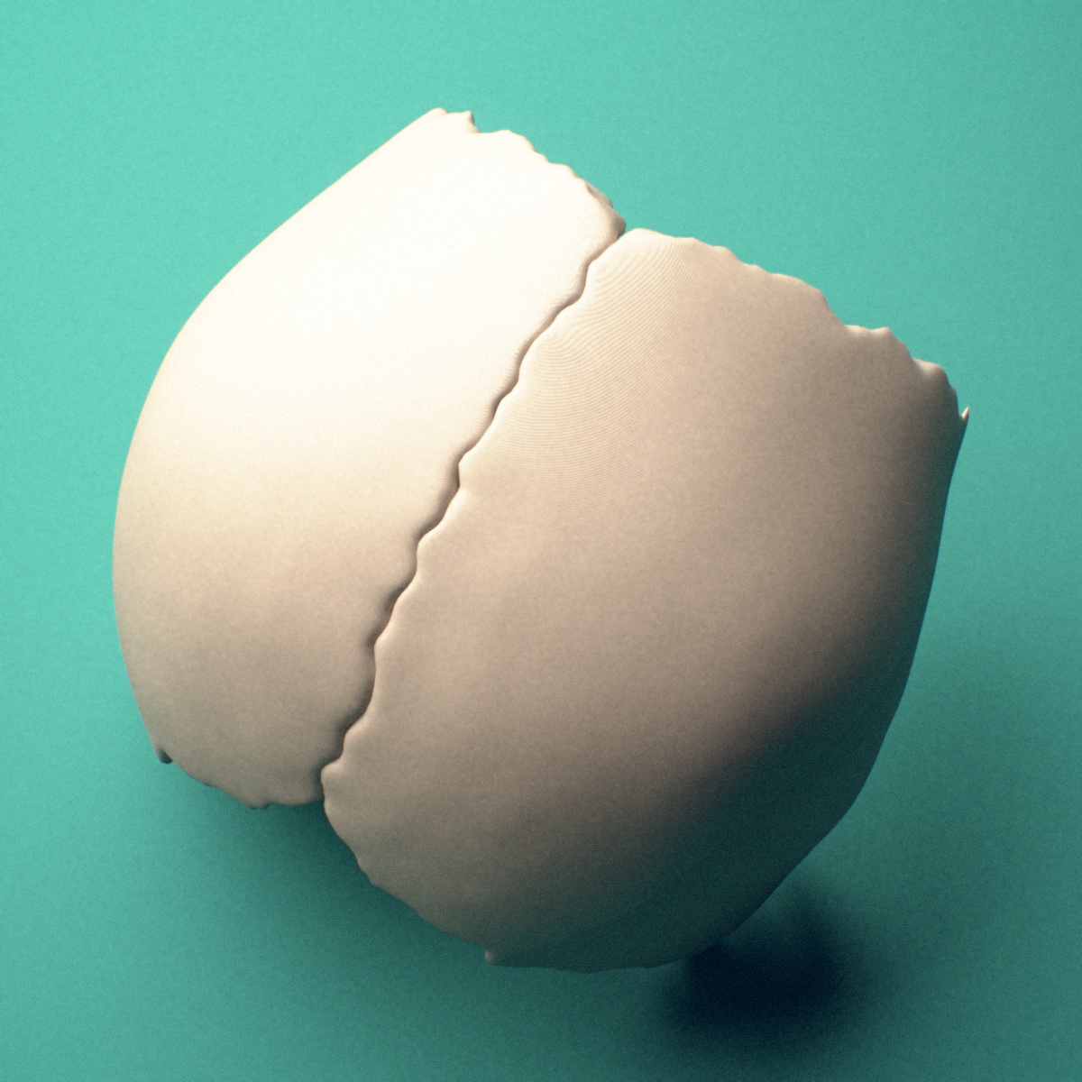 3D-printed Parietal bone, fused, posterior view showing the internal concave surface.