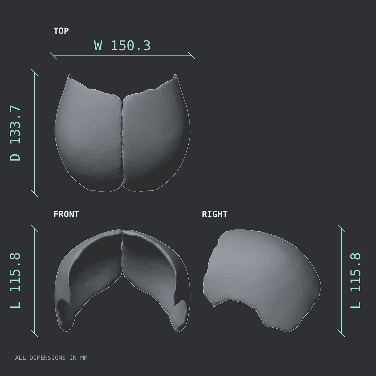 3D rendered dimensional drawing of the Parietal bone, fused, top, front, and side views.