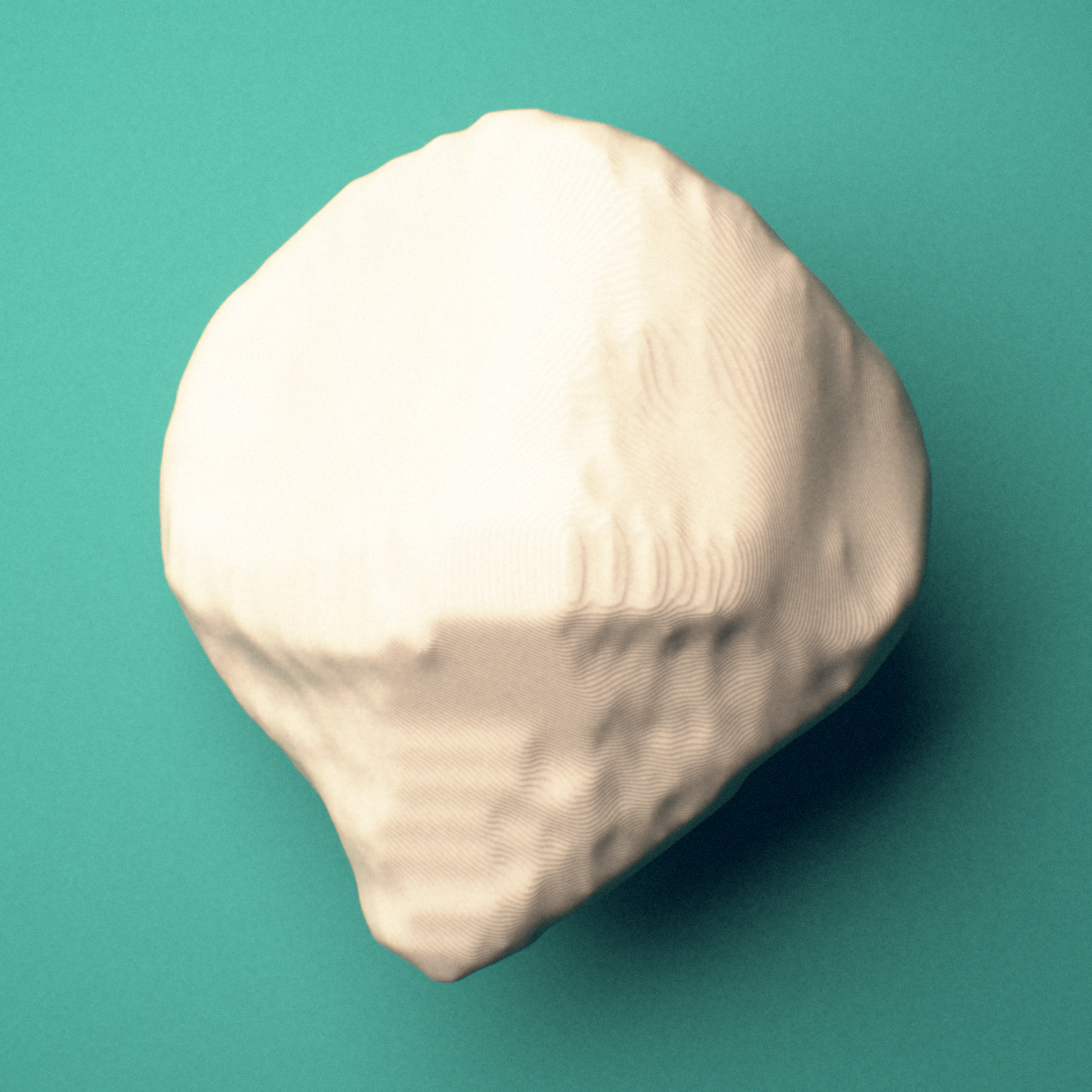 3D-printed Left patella (kneecap), posterior oblique view showing the apex.