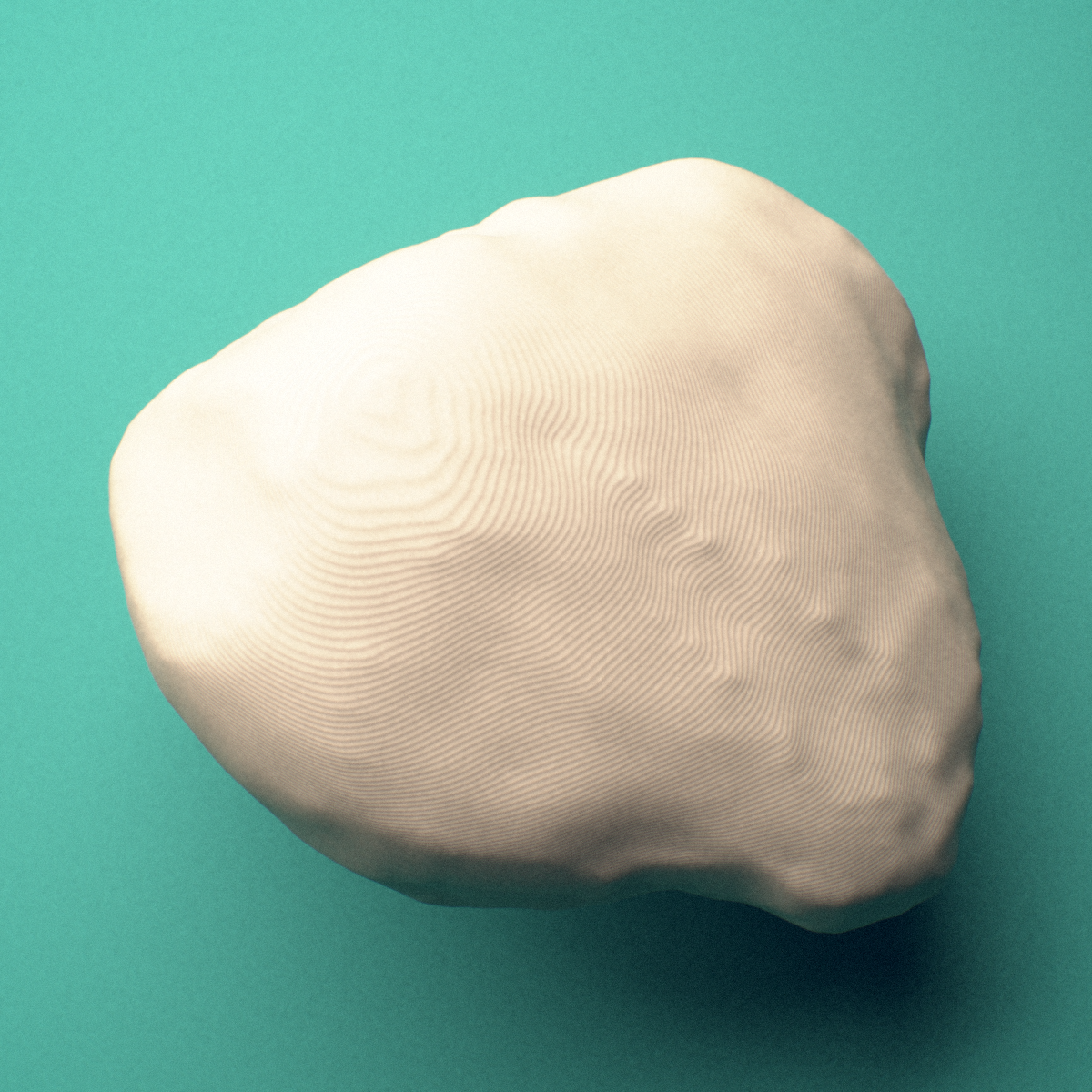 3D-printed Right patella (kneecap), lateral view showing the base.