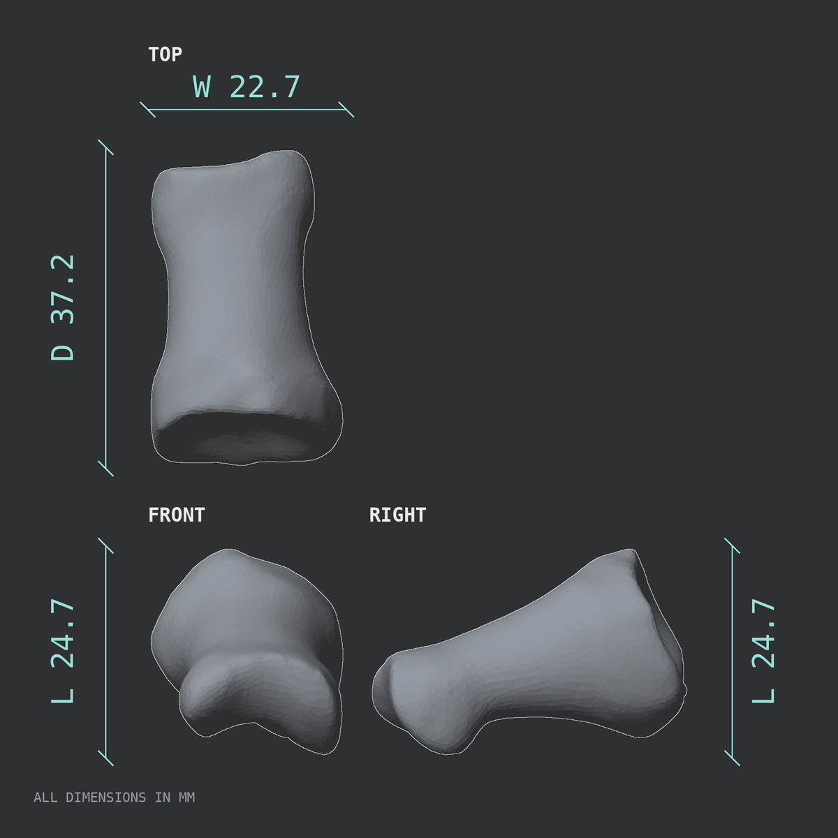 3D rendered dimensional drawing of the Left big toe (hallux) proximal phalanx, top, front, and side views.