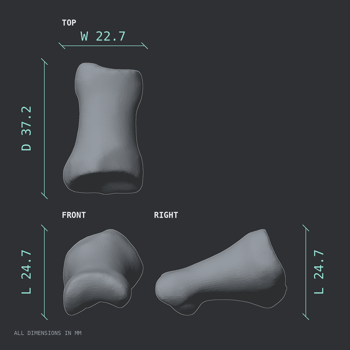 3D rendered dimensional drawing of the Right big toe (hallux) proximal phalanx, top, front, and side views.