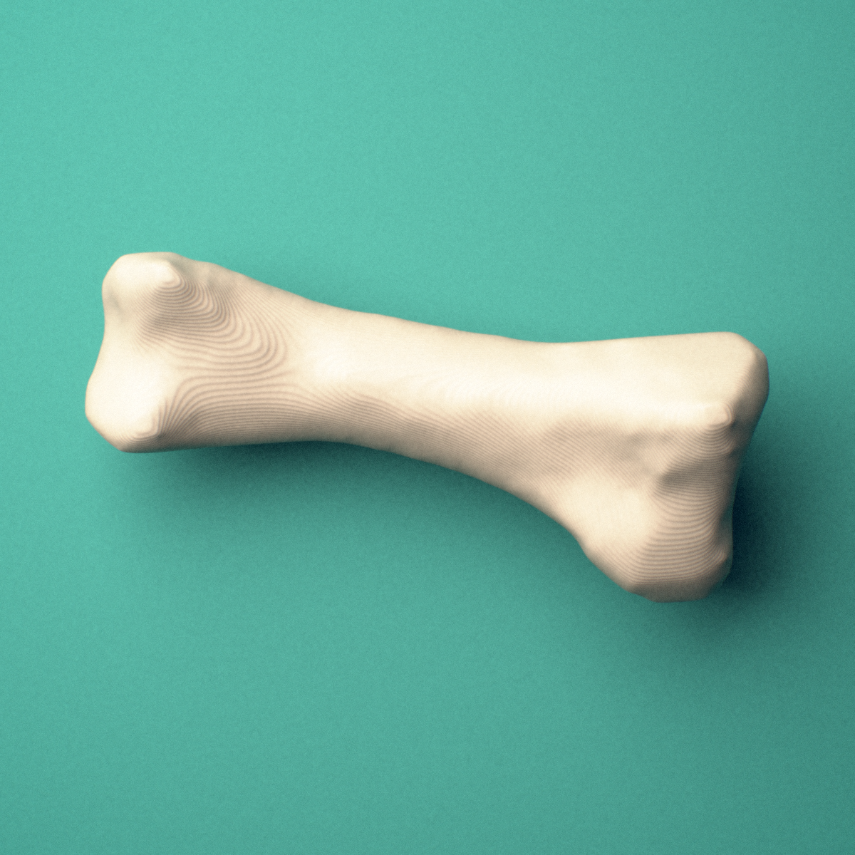 3D-printed Left second toe proximal phalanx, close-up view showing the base.