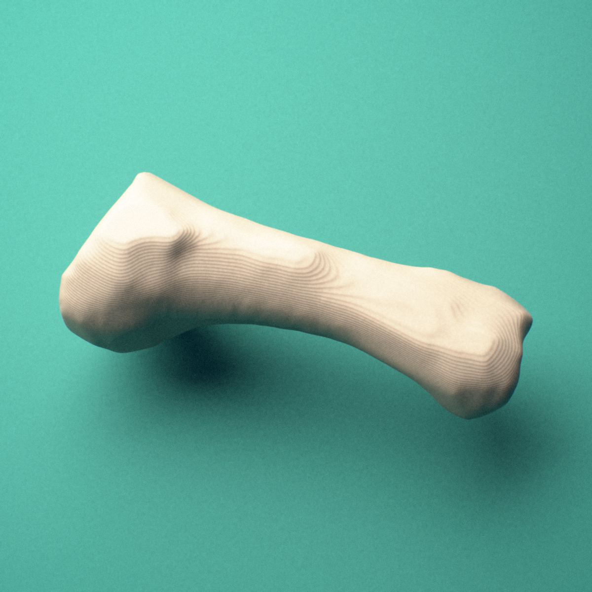 3D-printed Left second toe proximal phalanx, close-up view showing the head (trochlea).