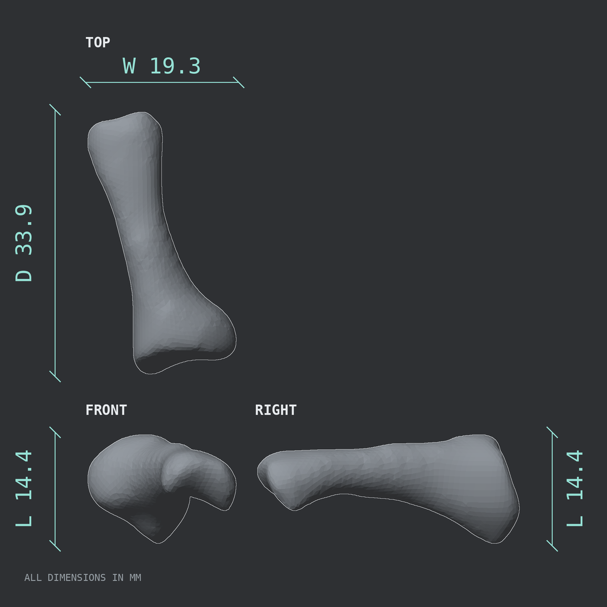 3D rendered dimensional drawing of the Left second toe proximal phalanx, top, front, and side views.