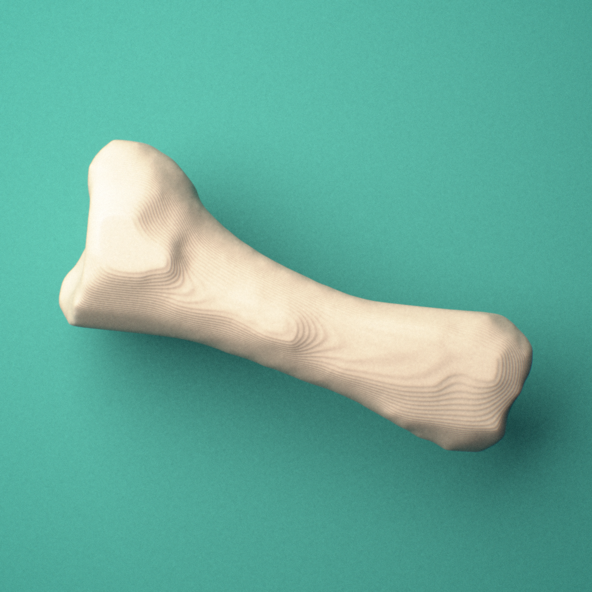3D-printed Right second toe proximal phalanx, oblique view showing the base and head (trochlea).