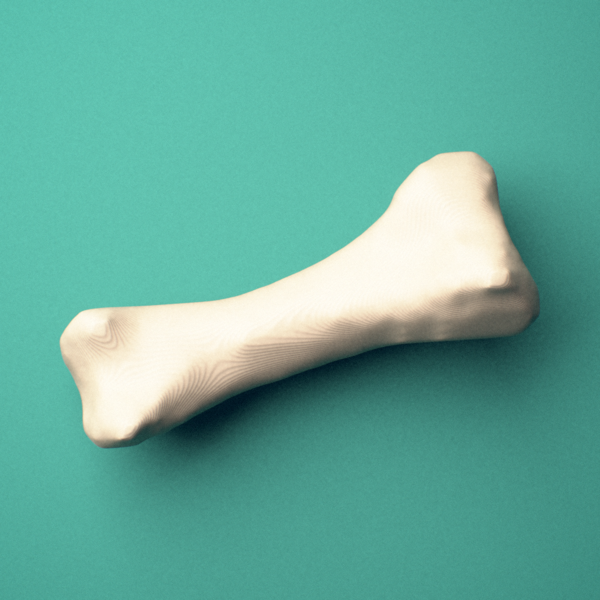 3D-printed Right second toe proximal phalanx, close-up view showing the base.