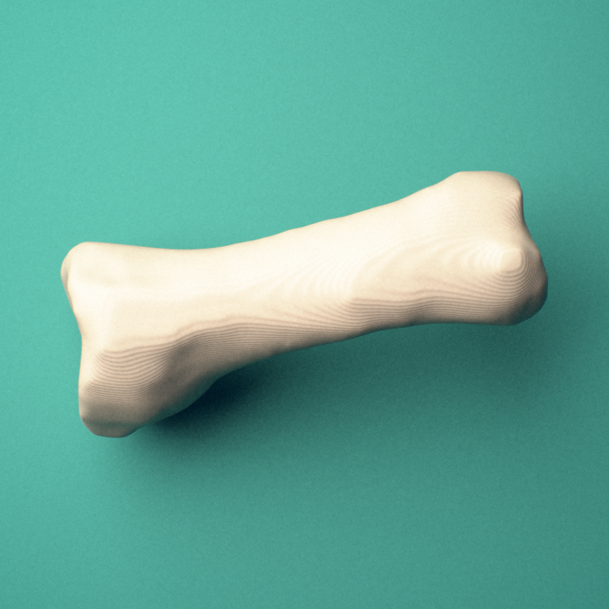 3D-printed Left third toe proximal phalanx, oblique view showing the base and head (trochlea).