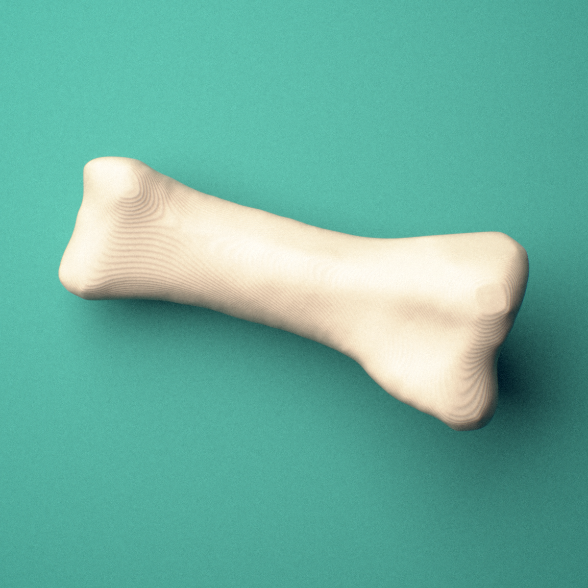 3D-printed Left third toe proximal phalanx, close-up view showing the base.