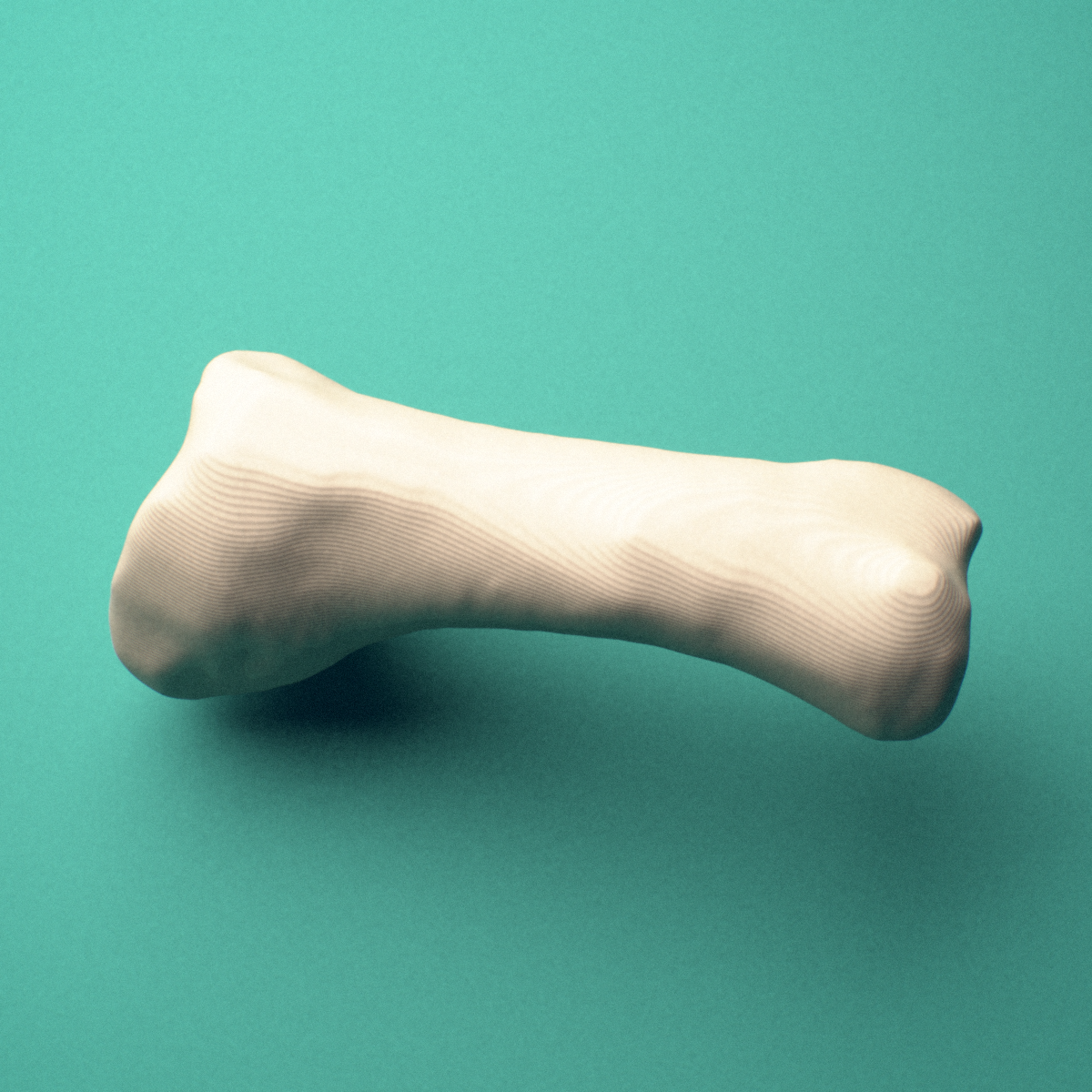3D-printed Left third toe proximal phalanx, close-up view showing the head (trochlea).