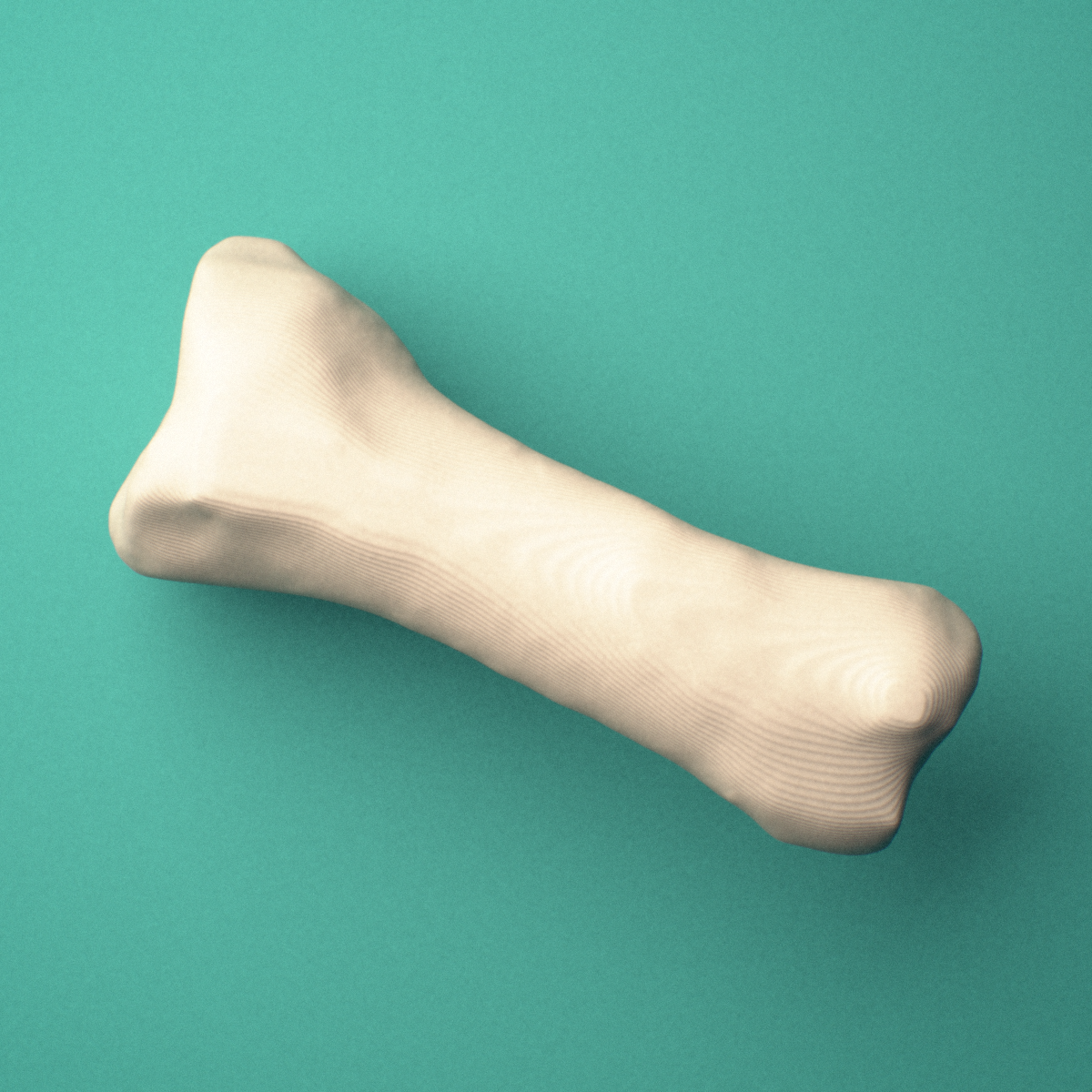 3D-printed Right third toe proximal phalanx, oblique view showing the base and head (trochlea).
