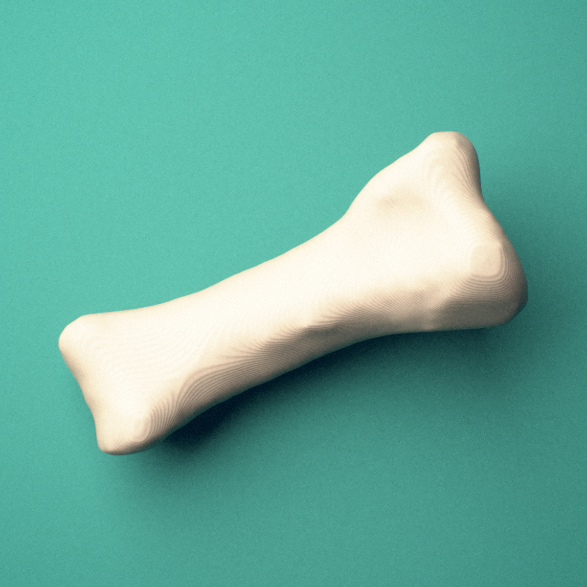3D-printed Right third toe proximal phalanx, close-up view showing the base.