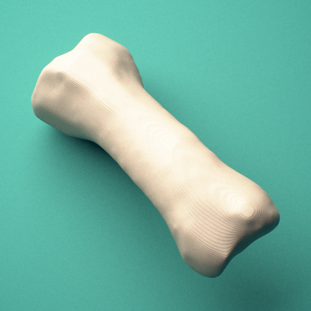 3D-printed Right third toe proximal phalanx, close-up view showing the head (trochlea).