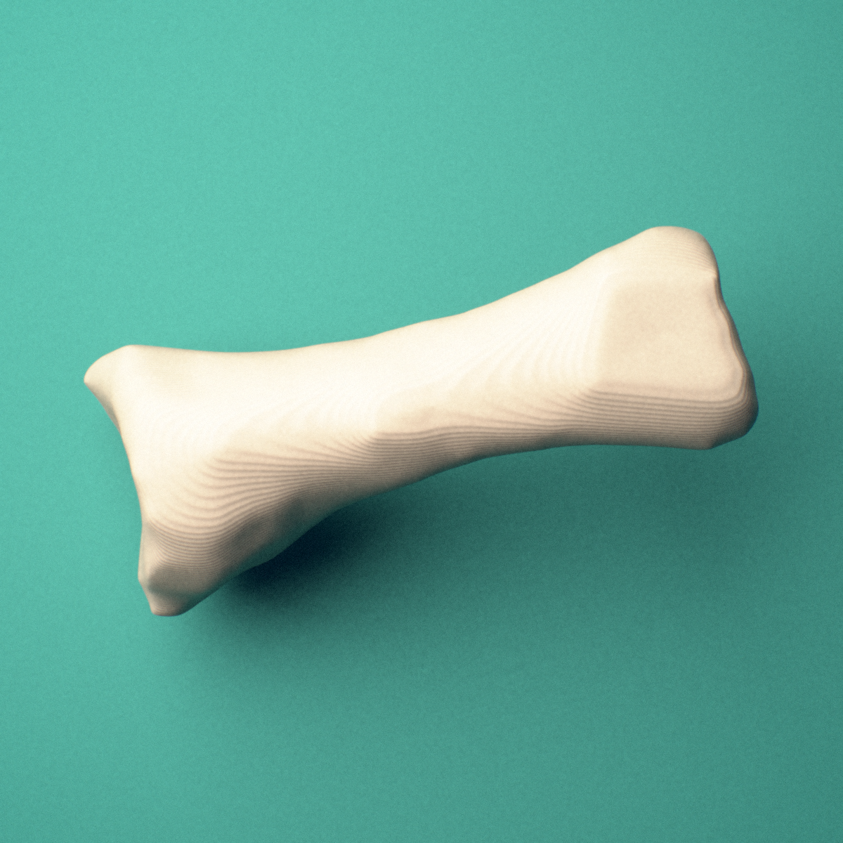 3D-printed Left fourth toe proximal phalanx, oblique view showing the base and head (trochlea).