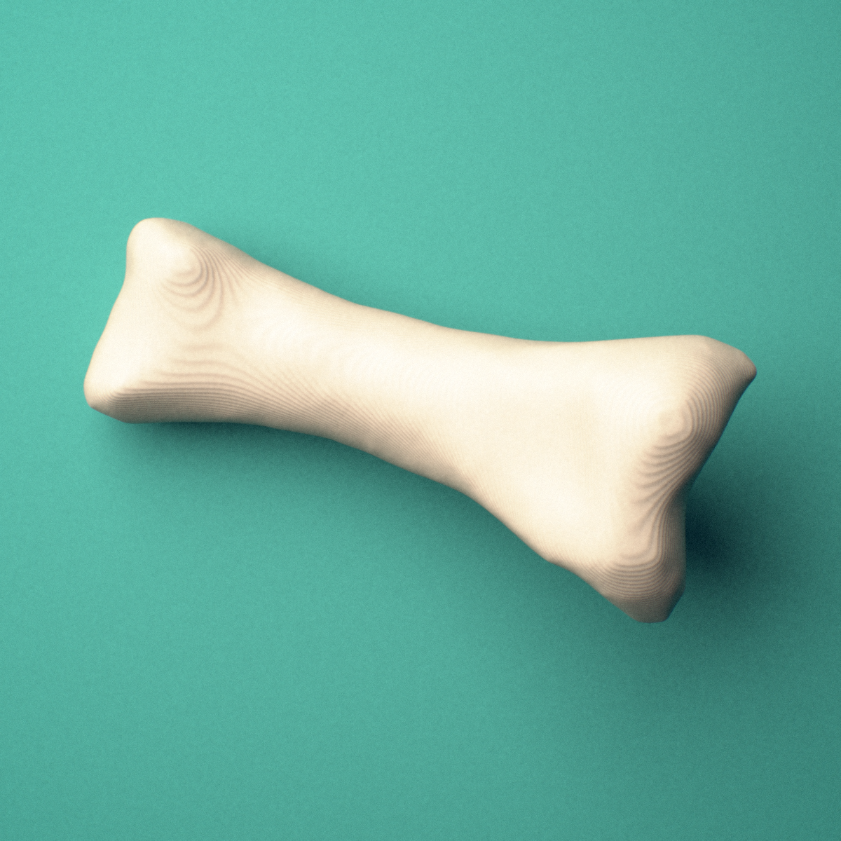3D-printed Left fourth toe proximal phalanx, close-up view showing the base.