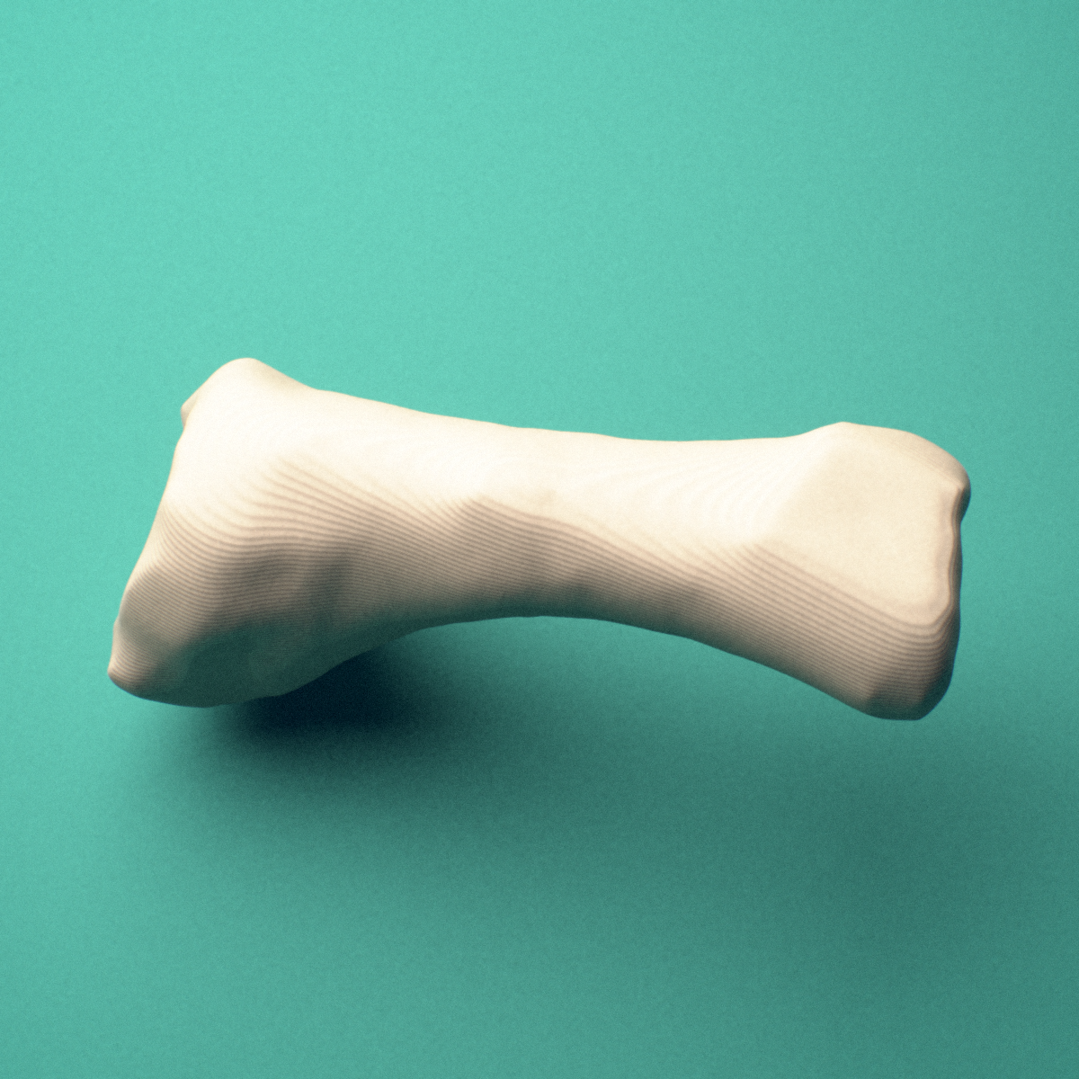 3D-printed Left fourth toe proximal phalanx, close-up view showing the head (trochlea).