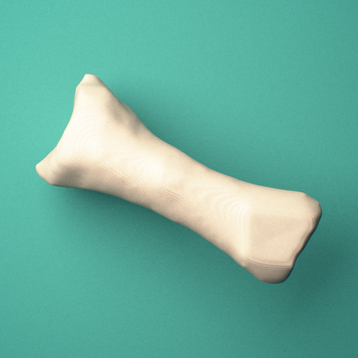 3D-printed Right fourth toe proximal phalanx, oblique view showing the base and head (trochlea).