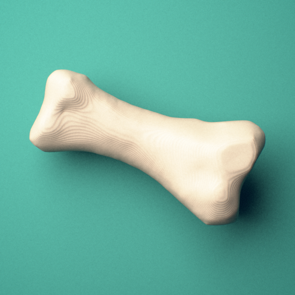 3D-printed Left little toe proximal phalanx, close-up view showing the base.