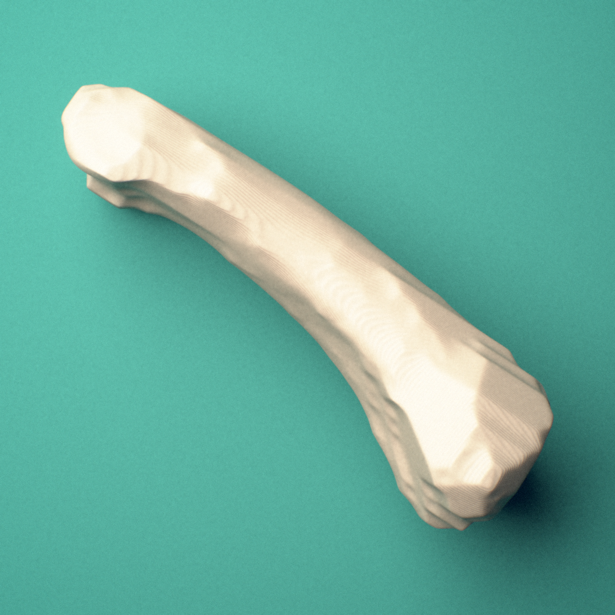 3D-printed Left index finger proximal phalanx, oblique view showing the base and head (trochlea).