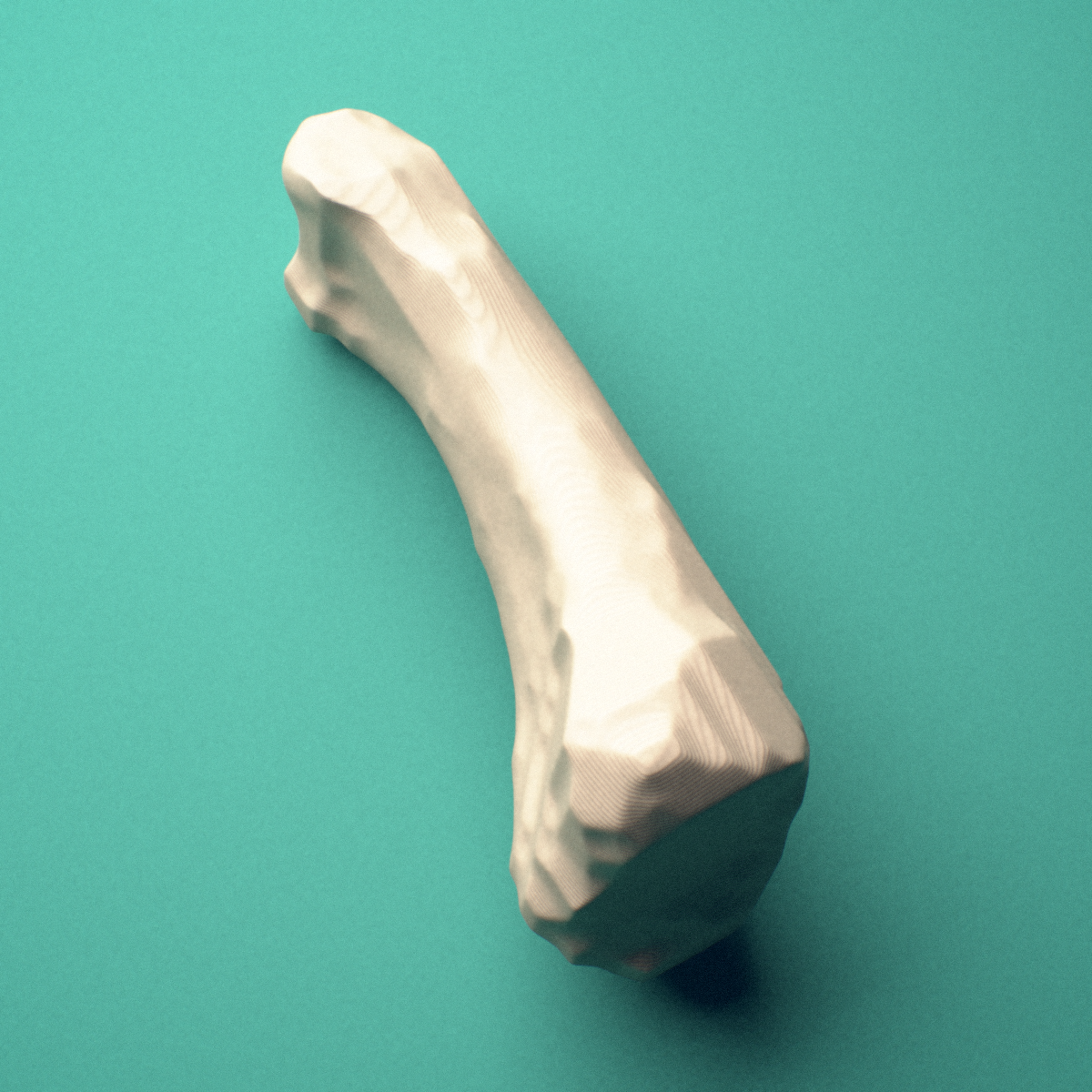 3D-printed Left index finger proximal phalanx, close-up view showing the head (trochlea).