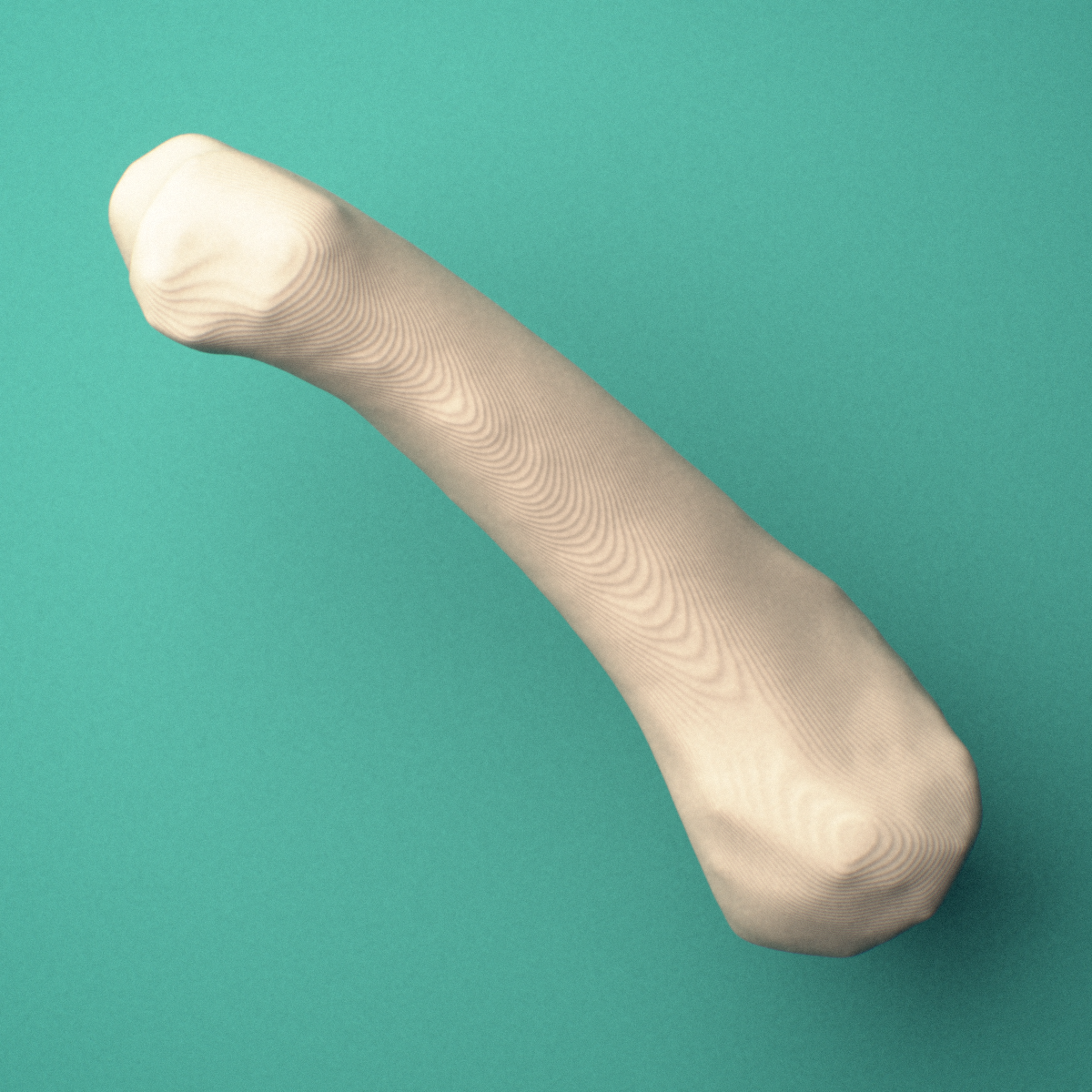 3D-printed Right index finger proximal phalanx, oblique view showing the base and head (trochlea).