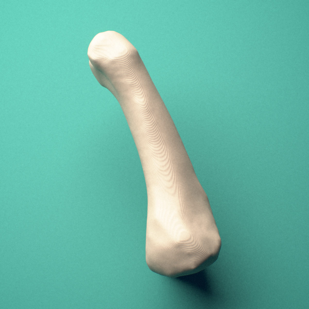 3D-printed Right index finger proximal phalanx, close-up view showing the head (trochlea).
